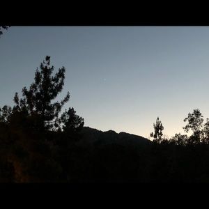 Meet your Posher, Lynn